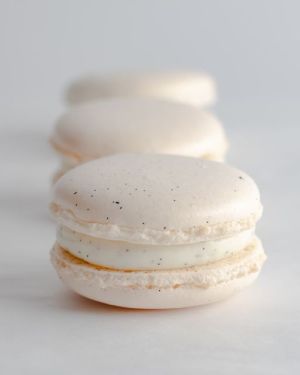 Vanilla Macaron (Box of 6)