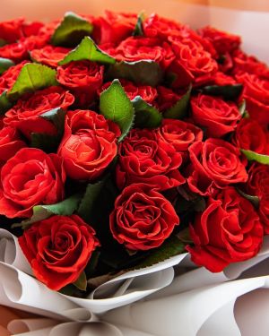 Red Roses Bouquet