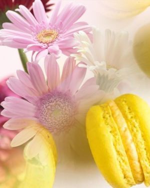 10x Gerberas with Mixed Flavours Macarons